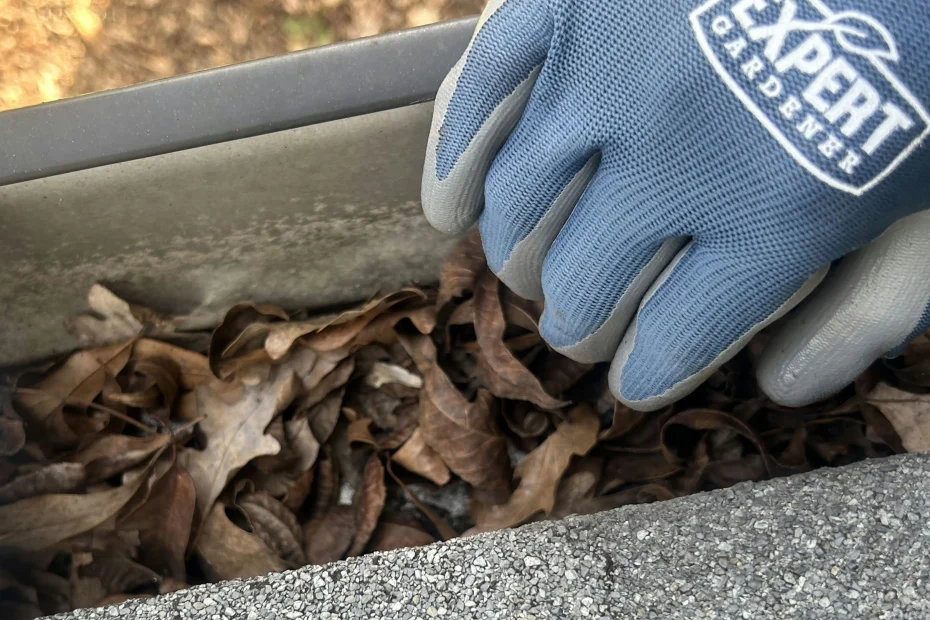 Gutter Cleaning DeLand FL