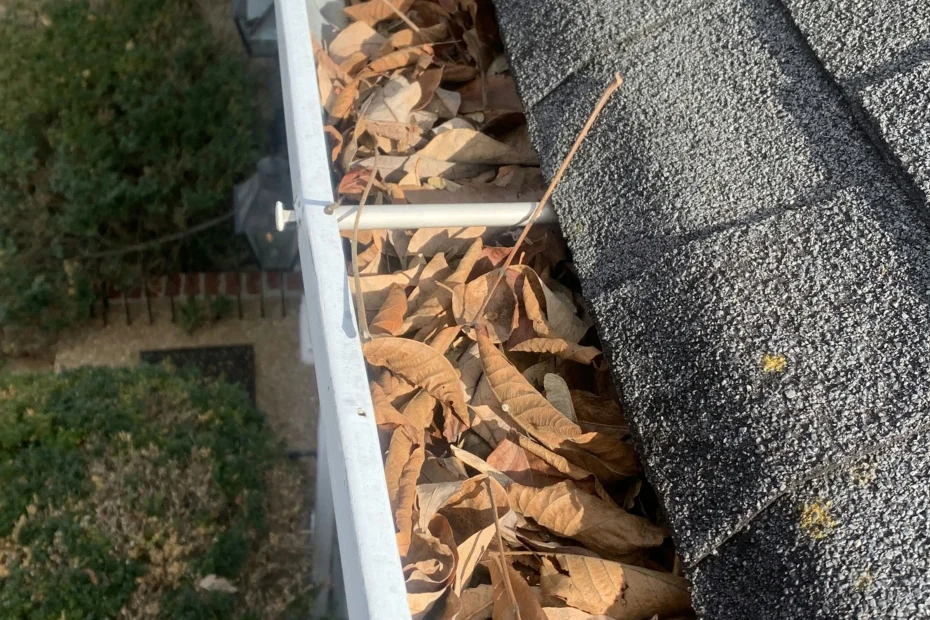 Gutter Cleaning DeLand FL