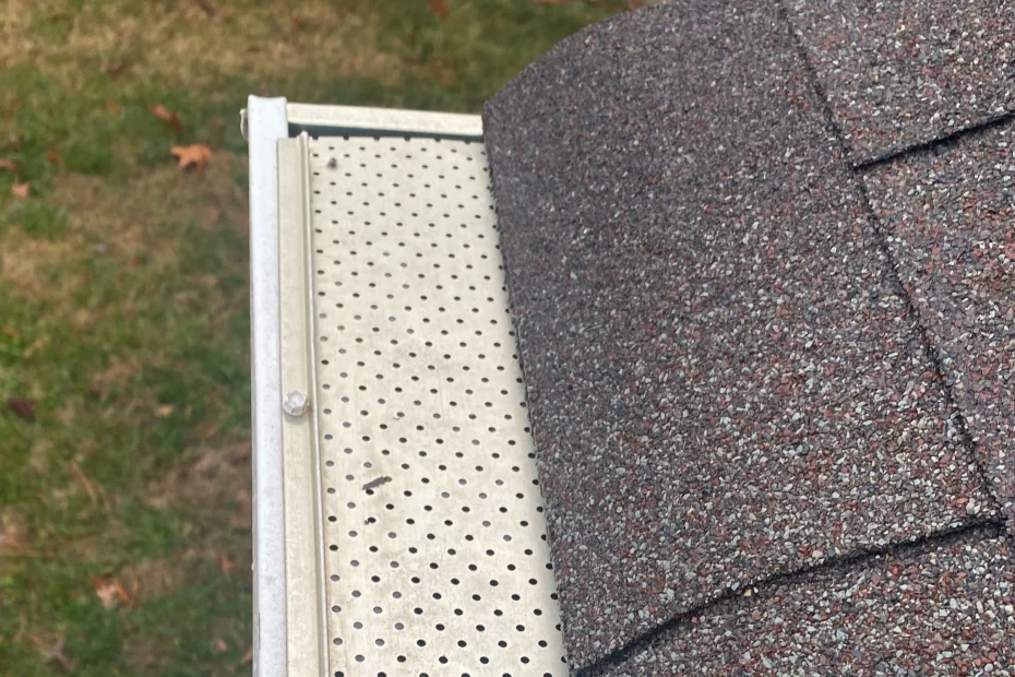 Gutter Cleaning DeLand FL